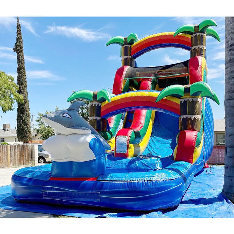 জল inflatable স্লাইড জাম্পিং স্লাইড পার্টি পিভিসি 18ft ডলফিন ওয়াটার স্লাইড পুল জন্য