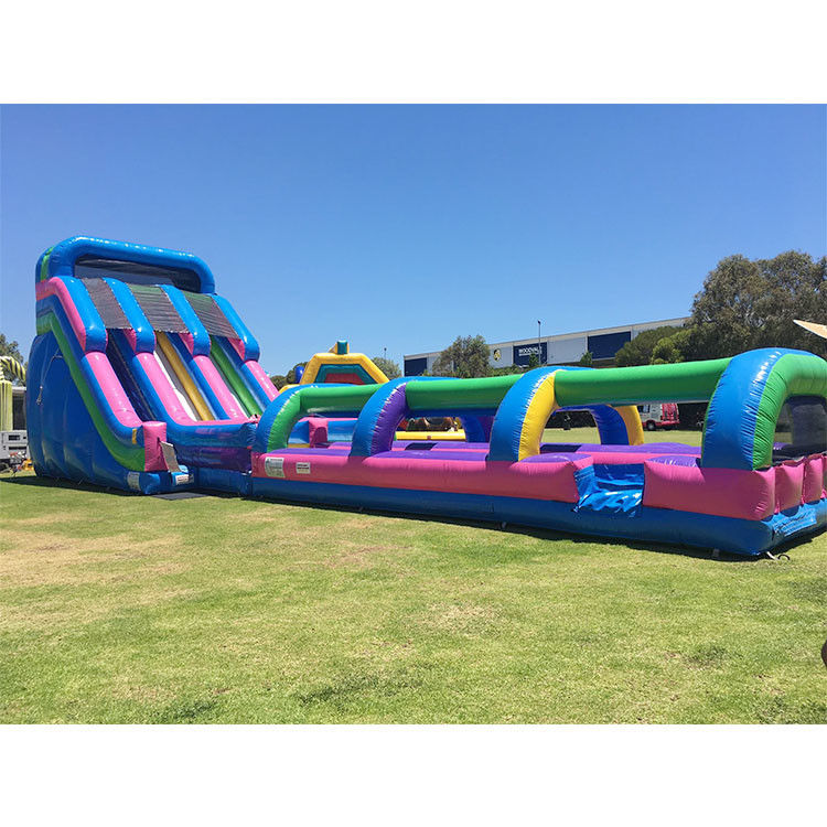 জল inflatable স্লাইড জাম্পিং স্লাইড পার্টি পিভিসি 18ft ডলফিন ওয়াটার স্লাইড পুল জন্য