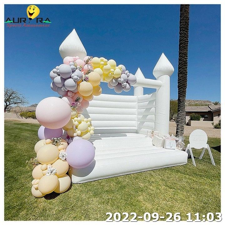 ভেট কম্বো নিউ ইনফ্ল্যাটেবল বাউন্স হাউস উইথ ব্লাওয়ার মিনি বাউন্স হাউস উইথ বোল পিট